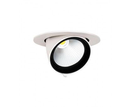 Поворотный Круглый встраиваемый (LED) светильник Downlight 160-120 Jazzway PLED DL4 40w 4000K 24° WH IP40 (5021921) Белый